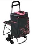 28     THERMOS Wheeled Shopping Trolley
