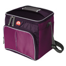 сумка холодильник с пластиковым контейнером внутри Igloo HLC12 Can Cooler сумка холодильник с пластиковым контейнером внутри Igloo HLC12 Can Cooler
