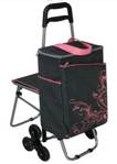 28    THERMOS Wheeled Shopping Trolley